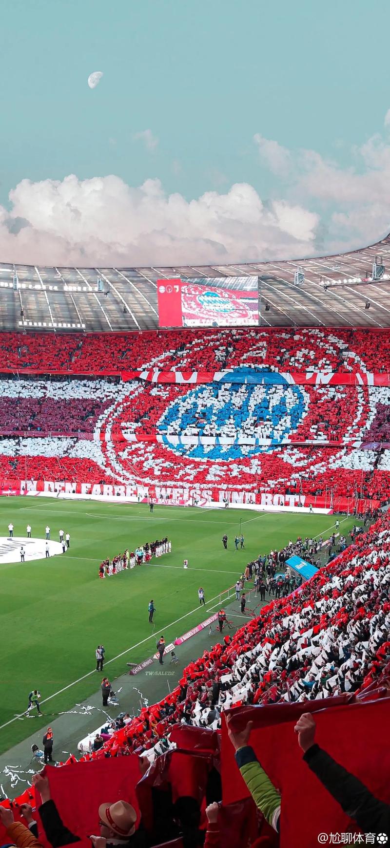 记者：纽卡要求谢什科48小时内答复，不打算拖到本周后半段